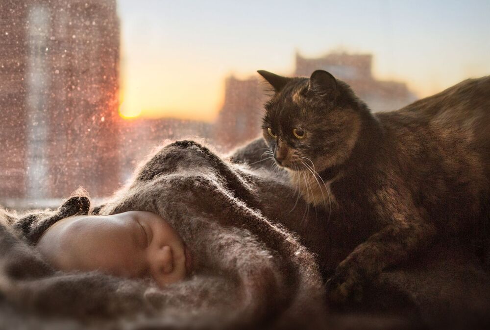Первая встреча