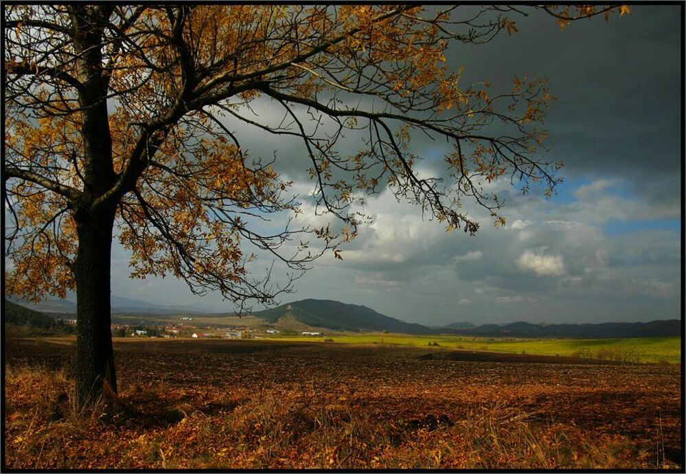 Bulgaria