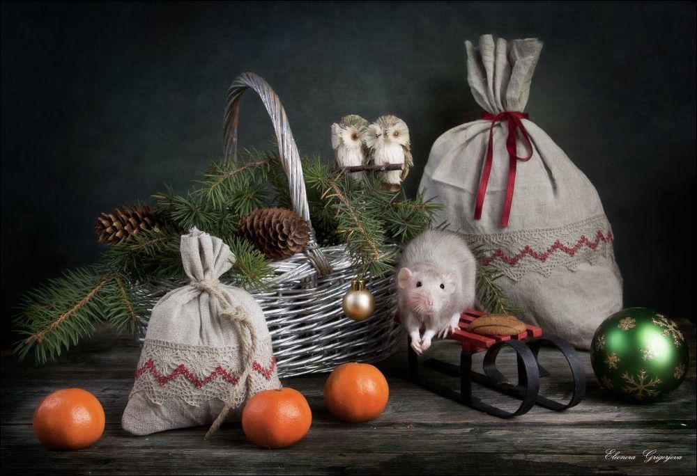 С Новым годом!
