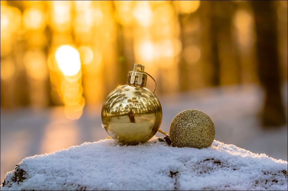С НОВЫМ ГОДОМ!!!!