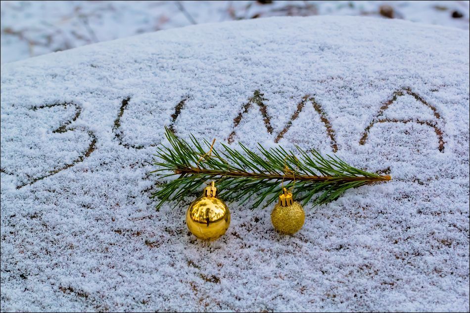 С НОВЫМ ГОДОМ!!!!