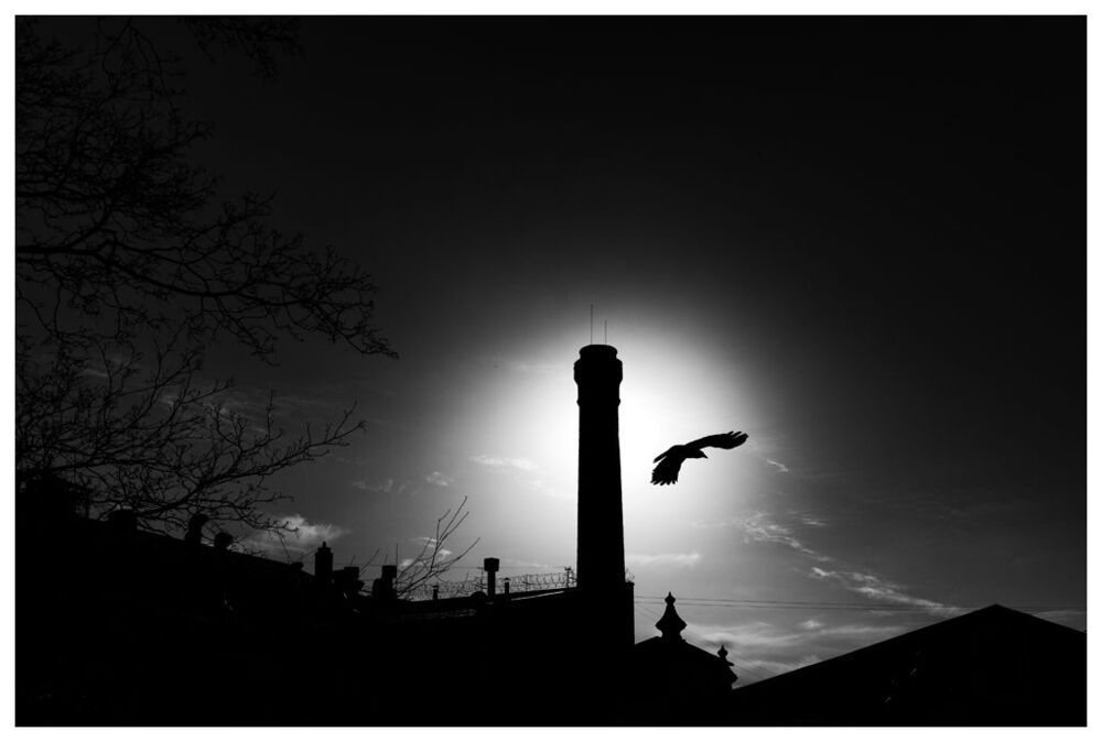 Shapes&Light