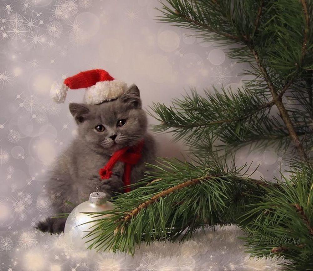 Новогоднее