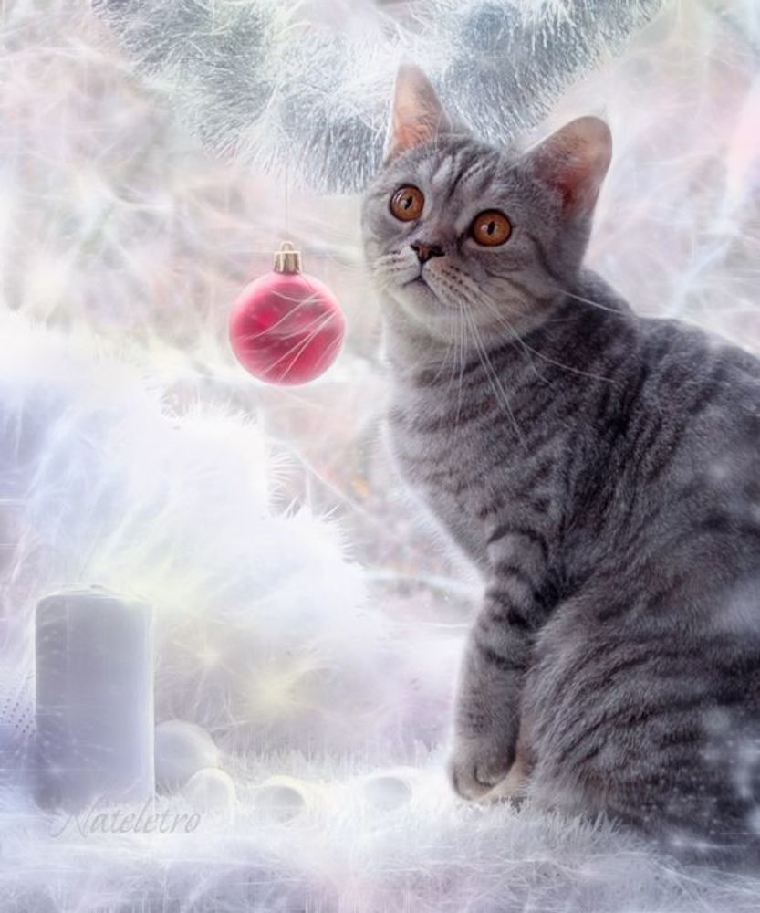 Новогоднее