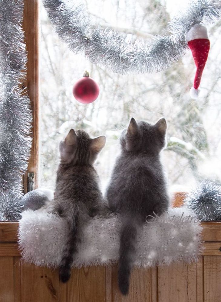Новогоднее