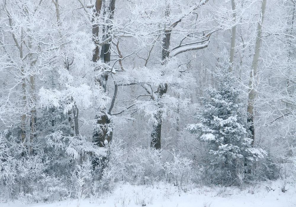 1 января
