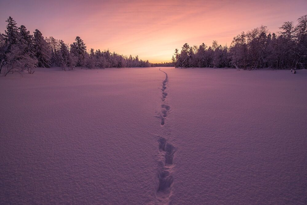 Морозное утро