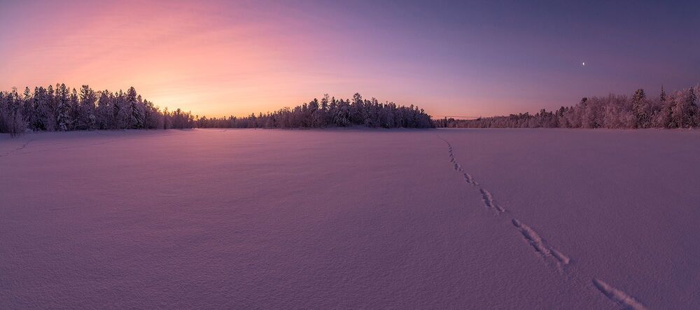 Морозное утро