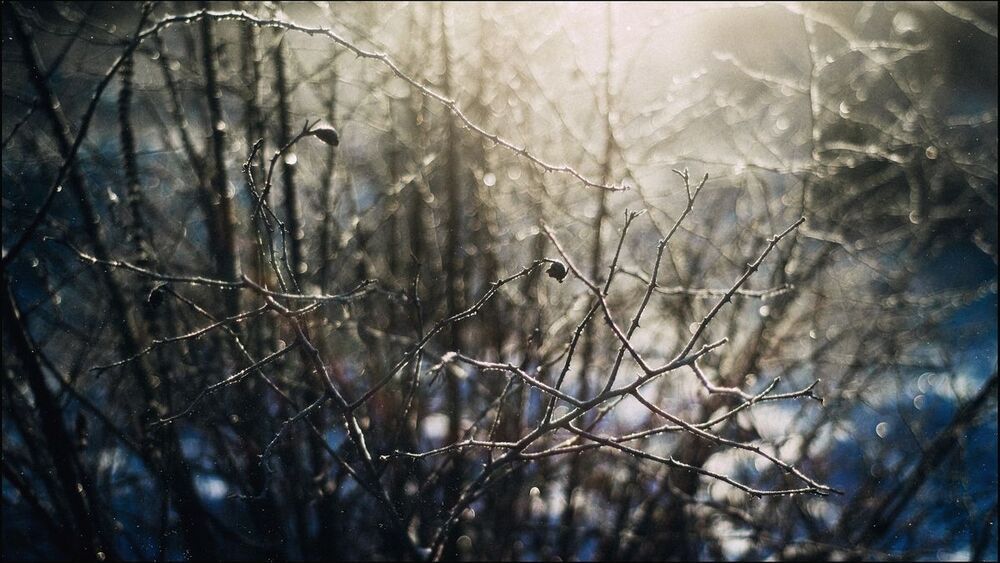 Зимняя графика