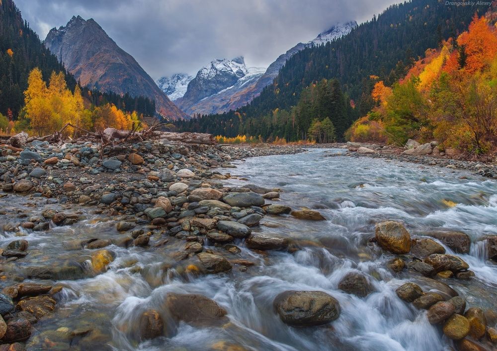Осенний аманауз