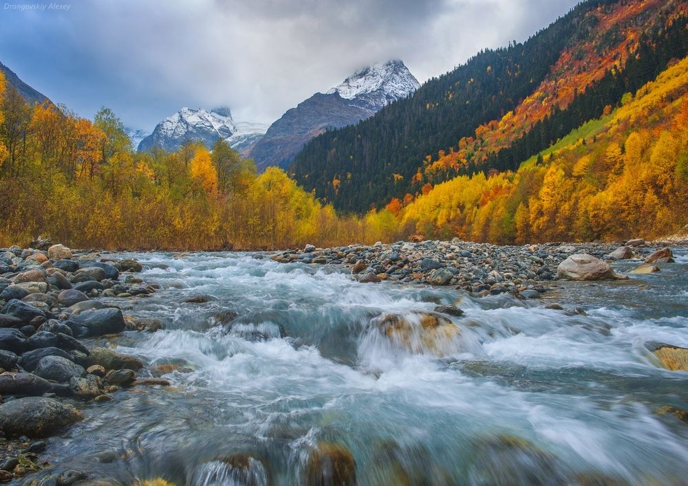 Осенний аманауз