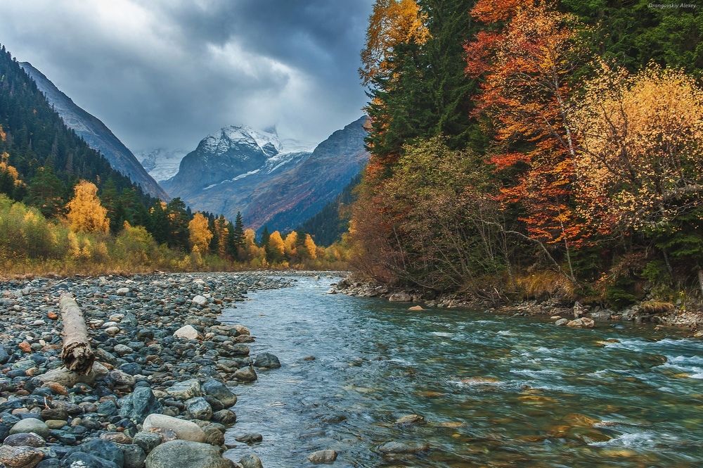 Осенний аманауз
