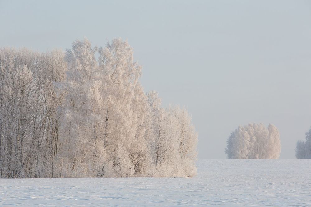 Мороз в поле