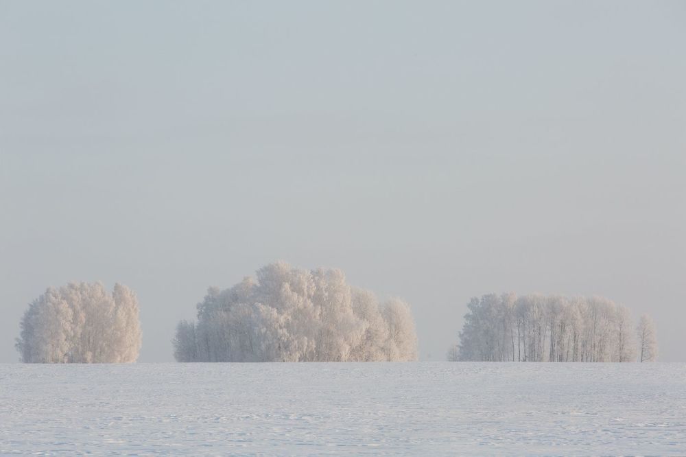 Мороз в поле
