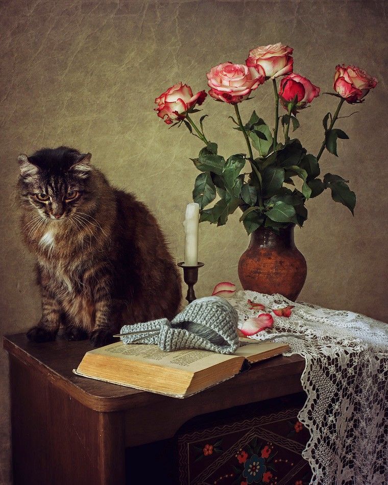 - Это тут, что ли, про ученого кота написано?
