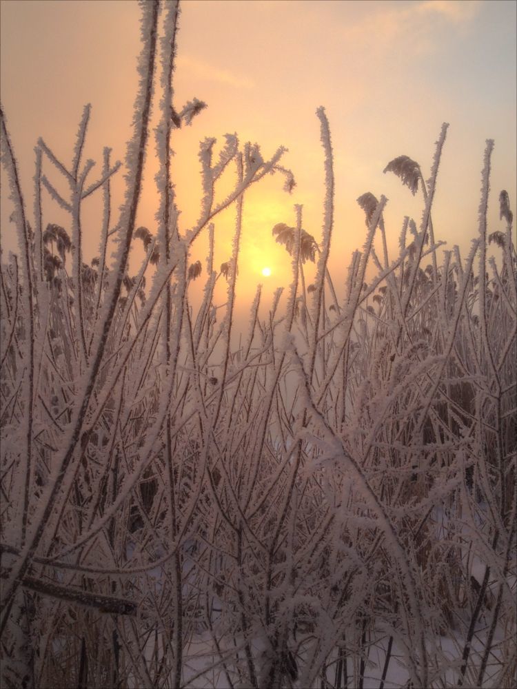Бодрое утро (-30&deg;)