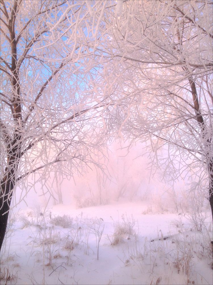 Бодрое утро (-30&deg;)