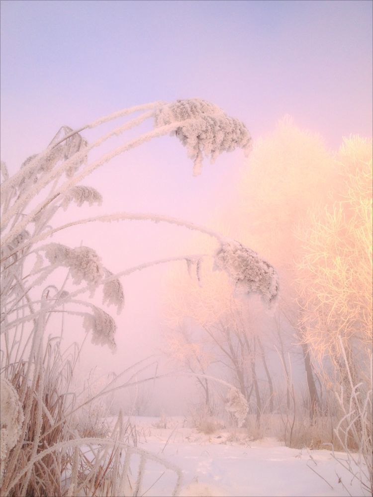 Бодрое утро (-30&deg;)