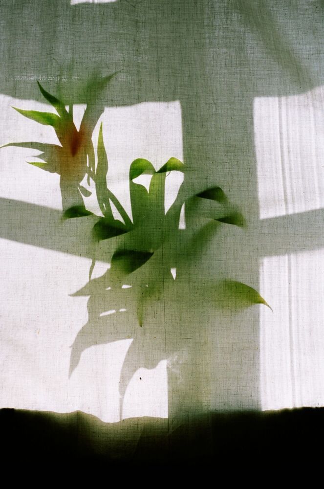 Photo 834777