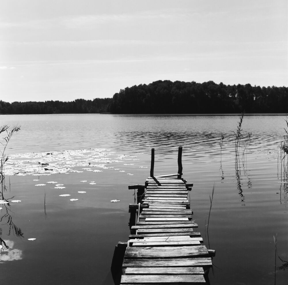 Photo 834785