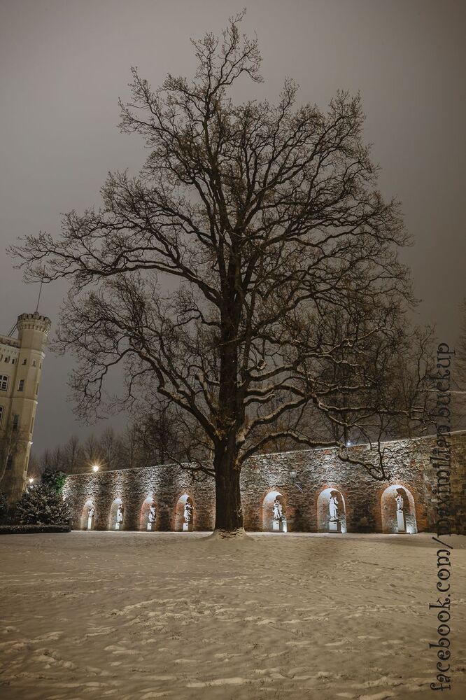 Зимние зарисовки Магдебурга
