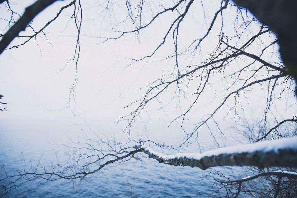 Photo 836052