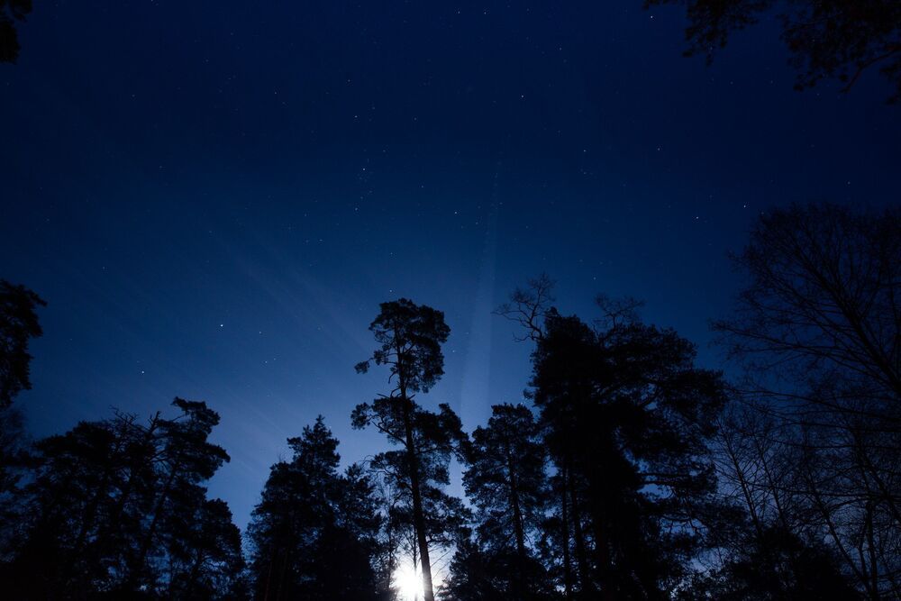 Photo 836057