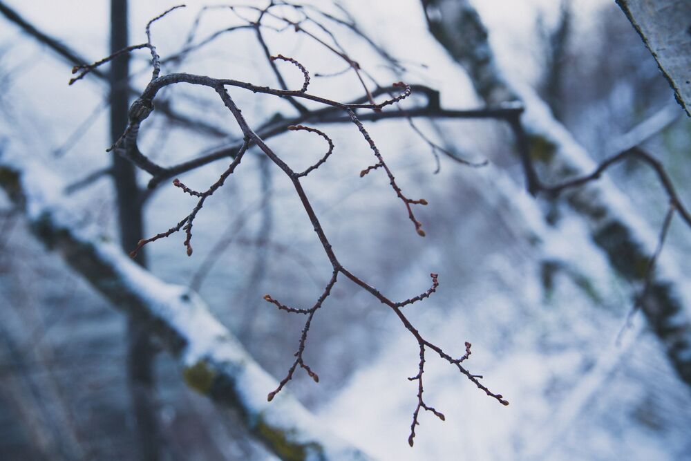 Photo 836059