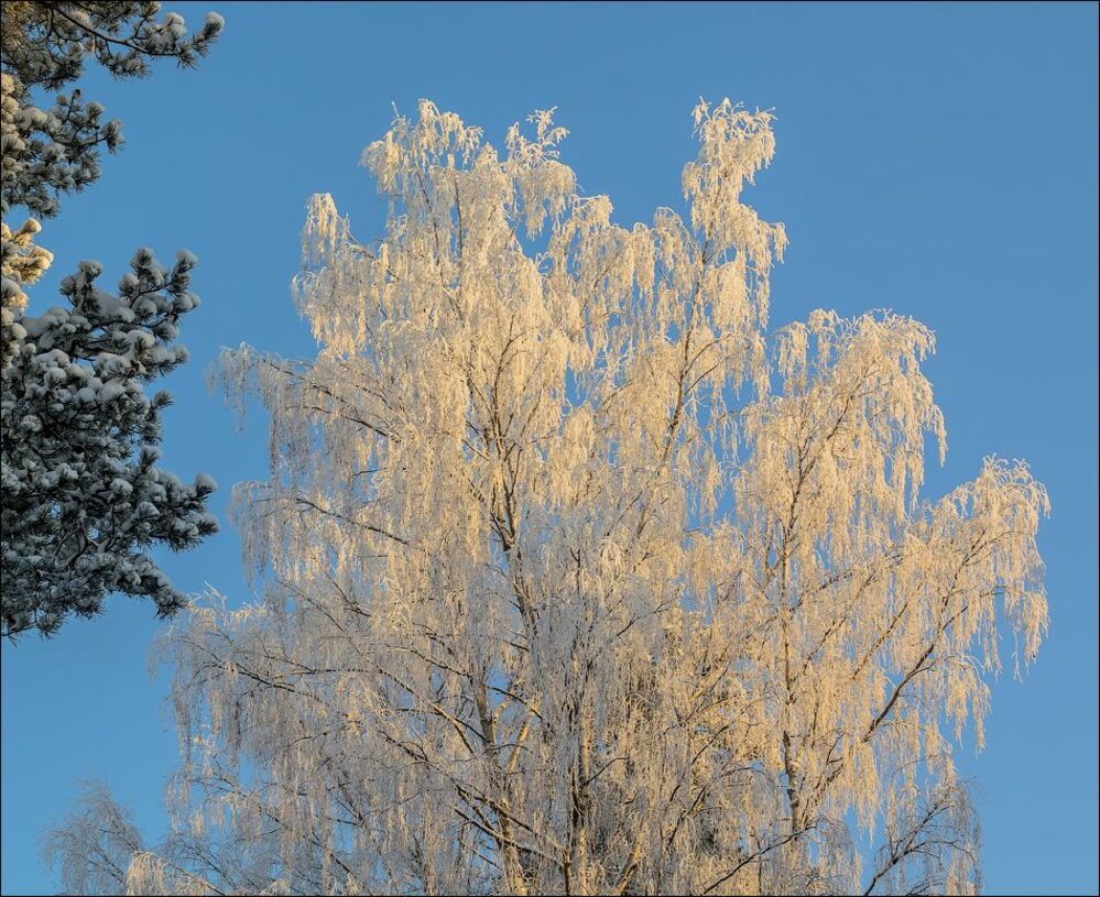 И все таки она пришла))))