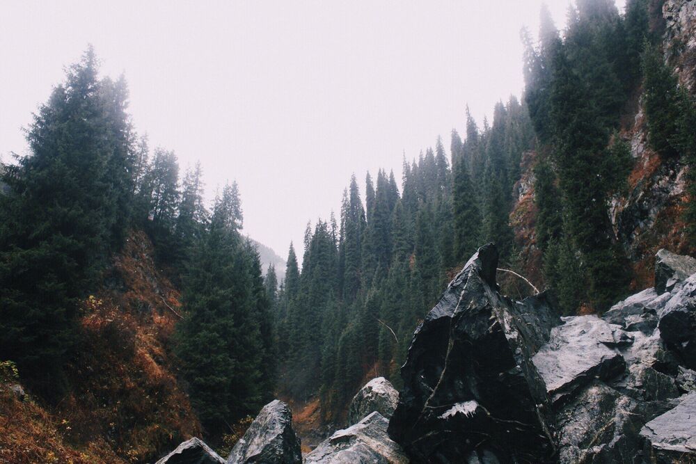 Nature
