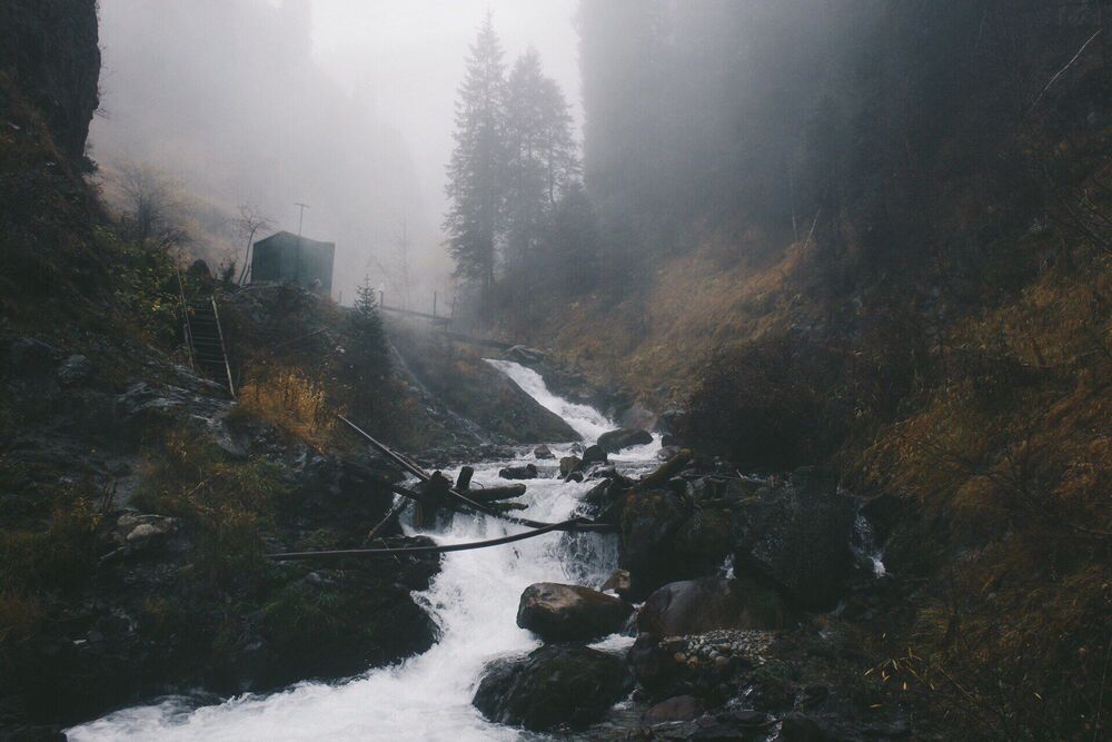 Nature