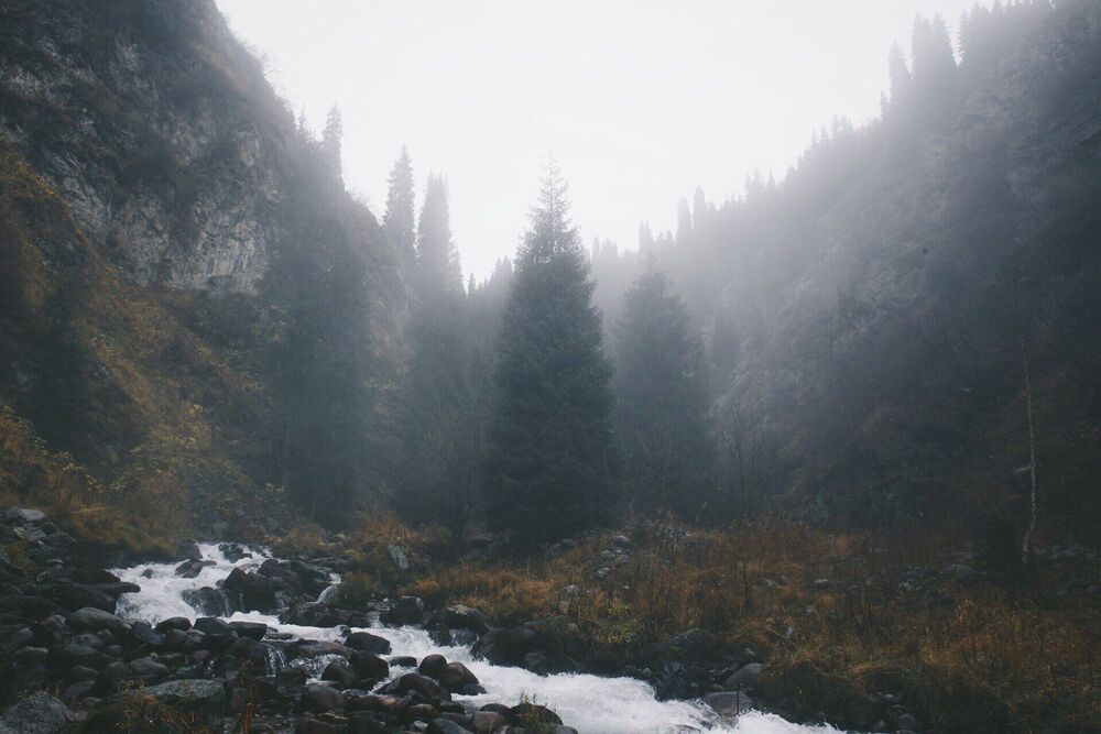Nature