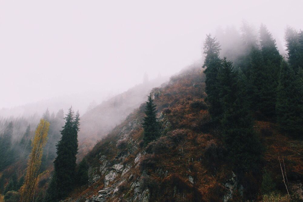 Nature