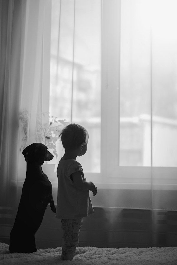 Photo 837551