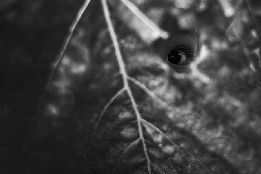 Photo 837552
