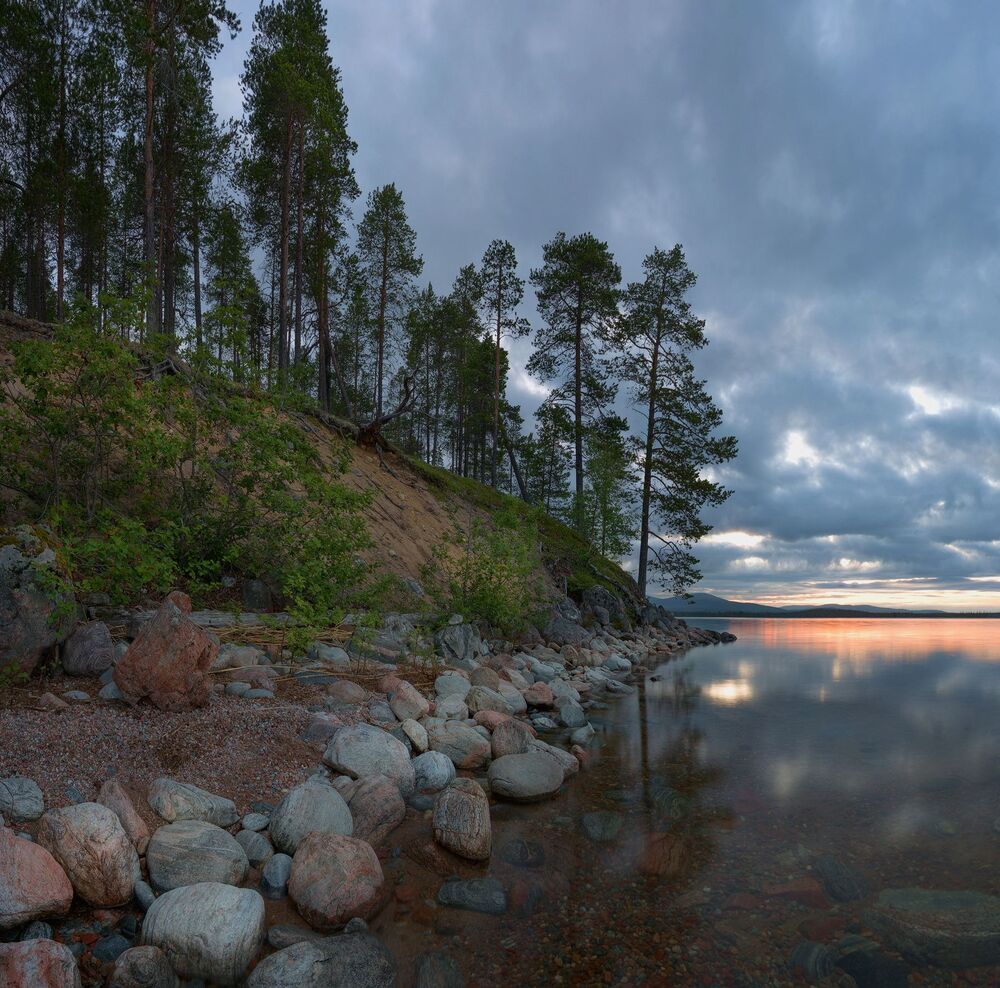В поисках света