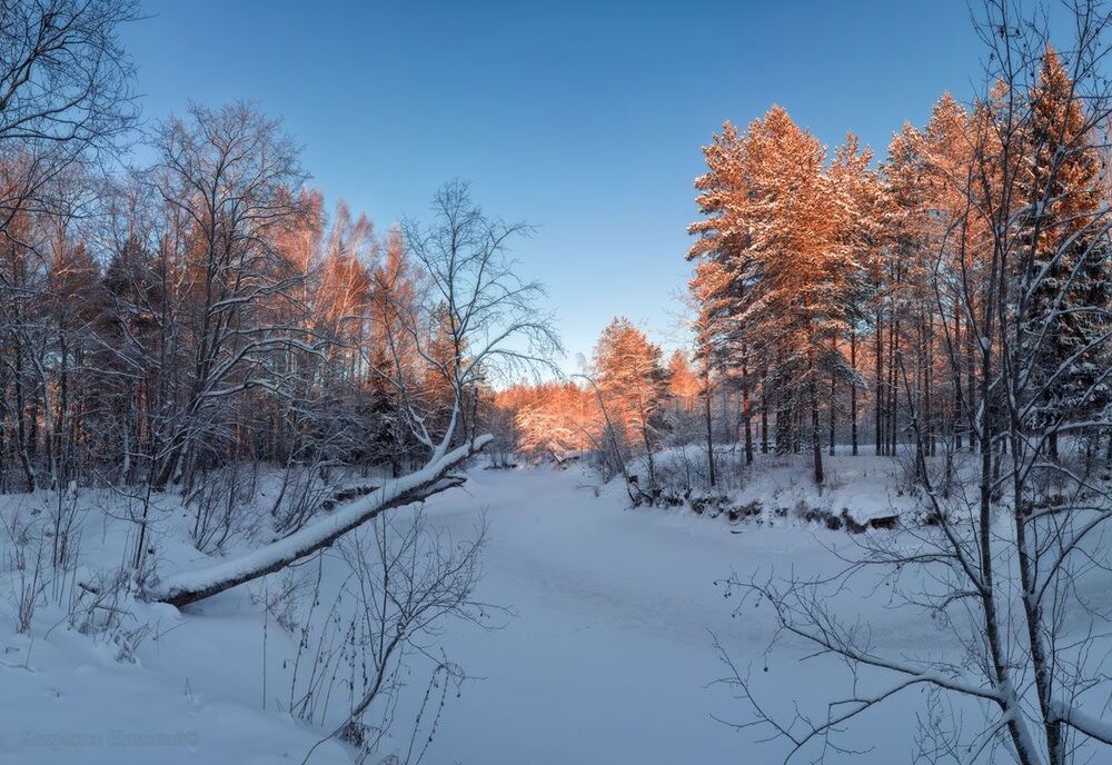 по замёрзшим берегам (серия)...