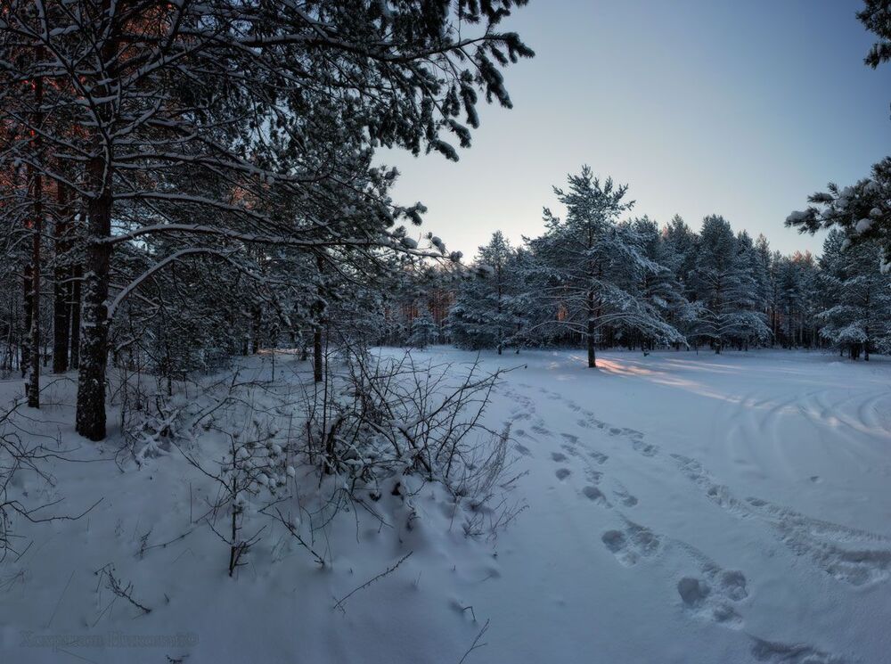 по замёрзшим берегам (серия)...