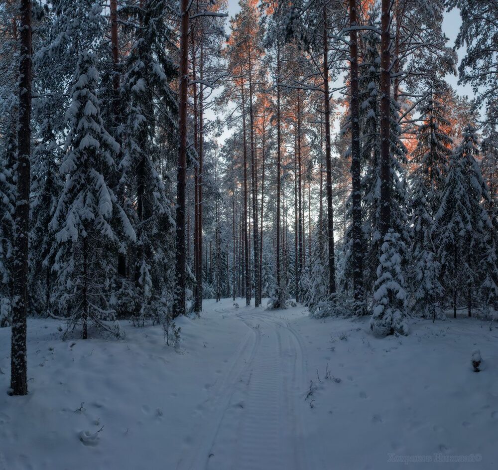 по замёрзшим берегам (серия)...