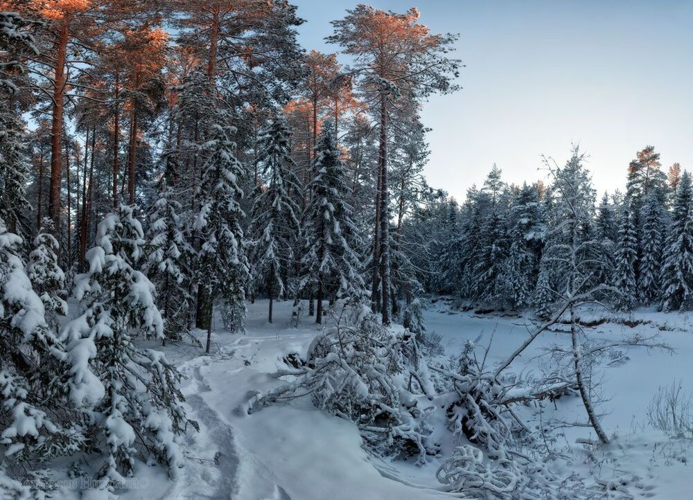 по замёрзшим берегам (серия)...