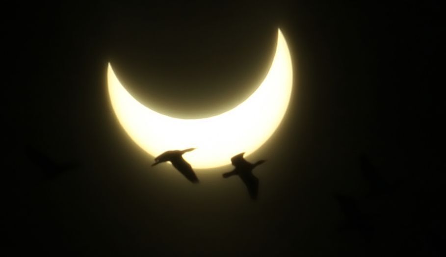 eclipse 04/01/2011