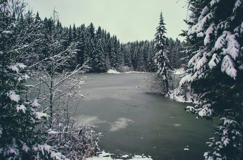 морозная зима