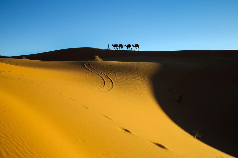 Merzouga, Sahara Desert - Morocco.