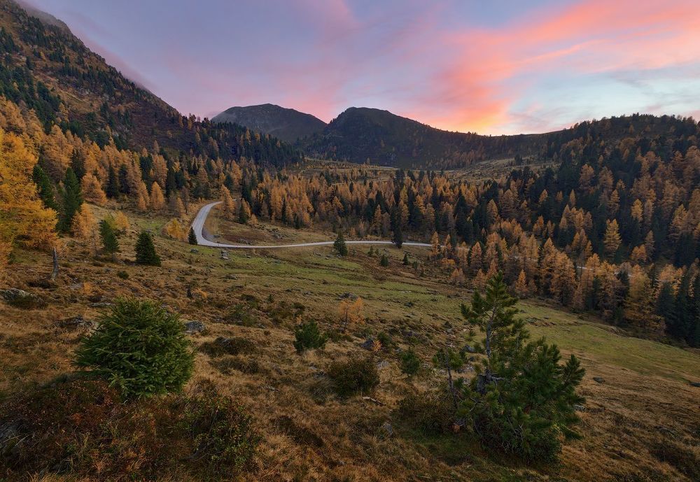 Alps