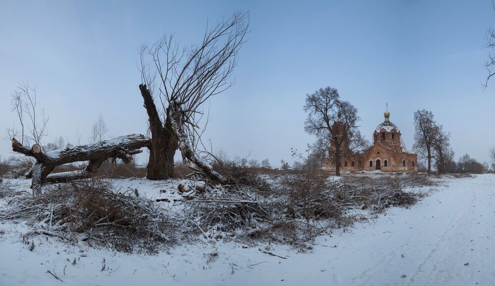 И вековое дерево не вынесло натиска стихии природы...