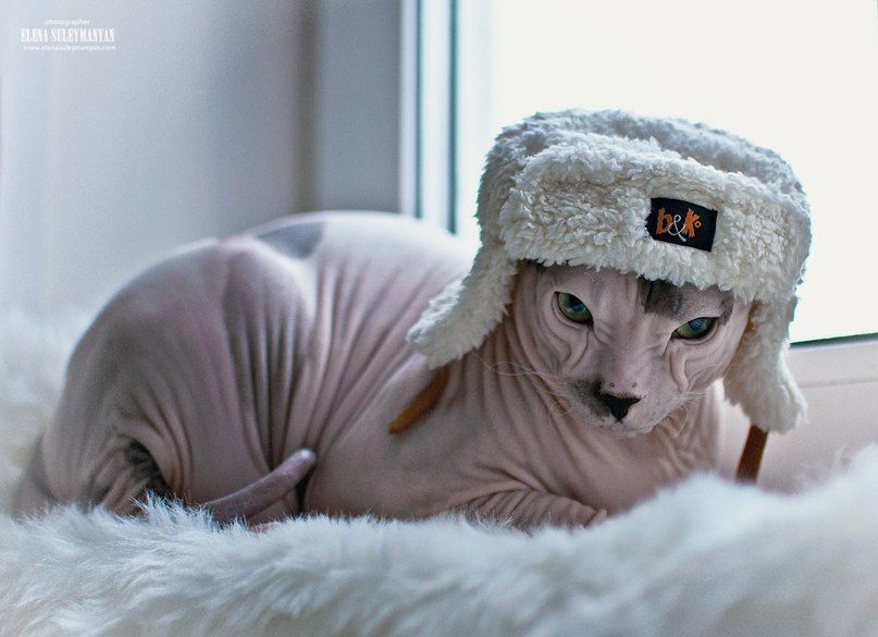 Зима, холода...))