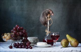 Эквилибрист