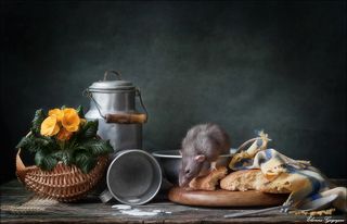 Остатки сладки