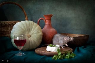 Они оставили тут сыр. Лежит он, такой одинокий, безнадзорный и практически бесхозный! Осмотрюсь, чтоб никто не помешал, и приступлю. Эх, люблю я камамбер!