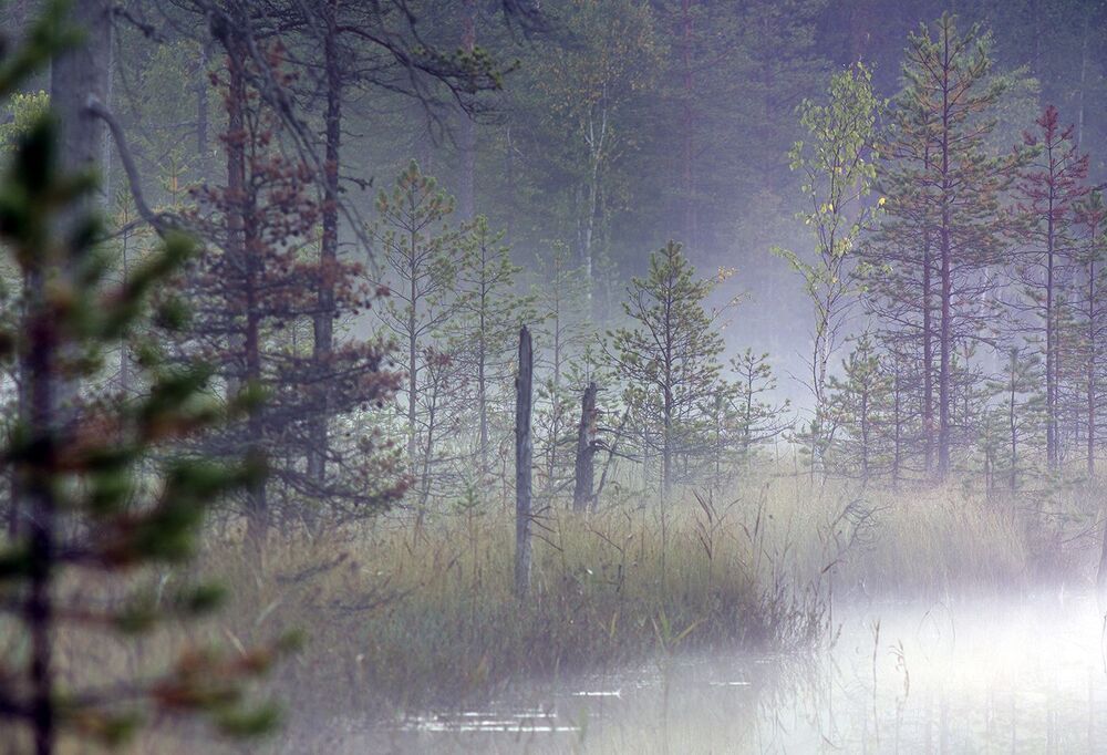 orestegor-300mm